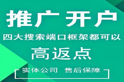 SEM推广案例：打造高效广告投放策略